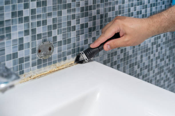 Best Toxic Mold Removal  in Bay Shore, NY